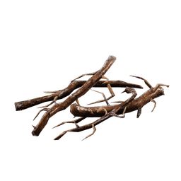 Roots